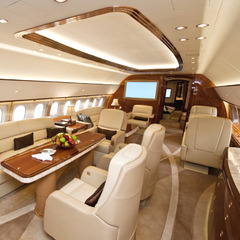 Airbus A319 Corporate Jet